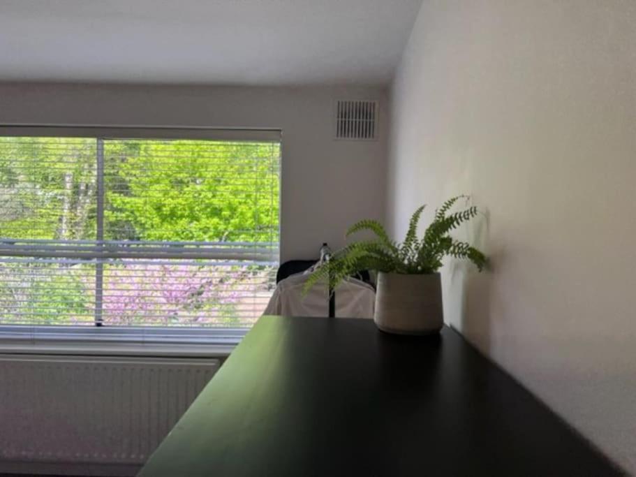 Appartamento Big And Bright 2 X Double Bedroom Flat In Highgate Londra